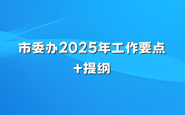 市委办2025年工作要点 提纲