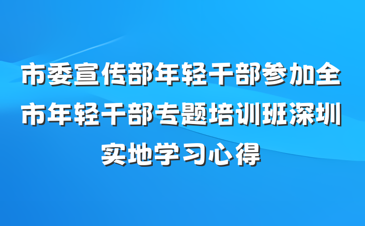 市委宣传部年轻干部参加全市年轻干部专题培训班深圳实地学习心得