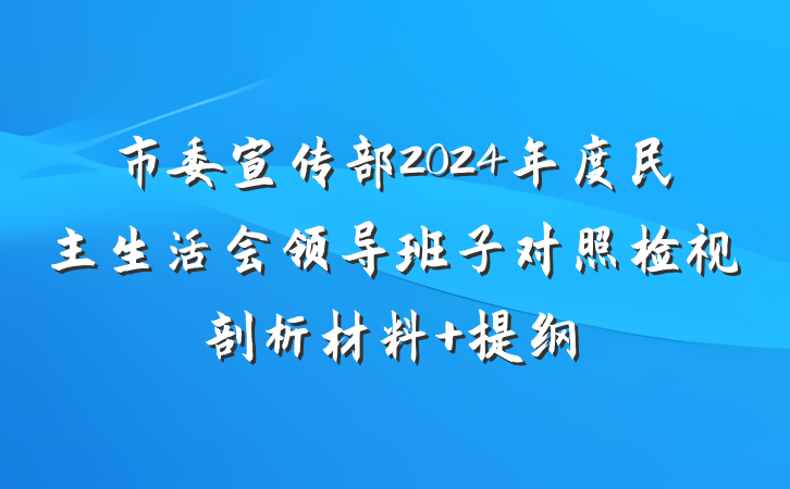 市委宣传部2024年度民主生活会领导班子对照检视剖析材料 提纲