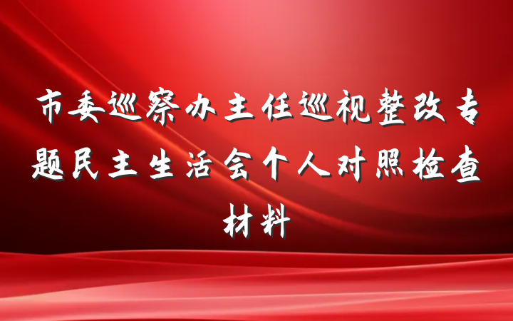 市委巡察办主任巡视整改专题民主生活会个人对照检查材料