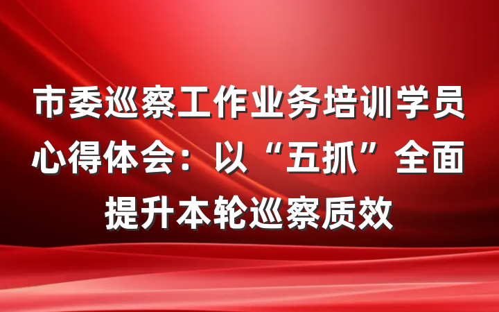 市委巡察工作业务培训学员心得体会：以“五抓”全面提升本轮巡察质效