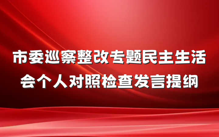 市委巡察整改专题民主生活会个人对照检查发言提纲