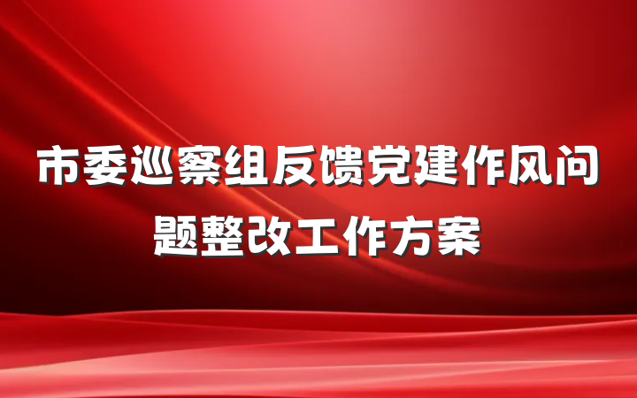市委巡察组反馈党建作风问题整改工作方案