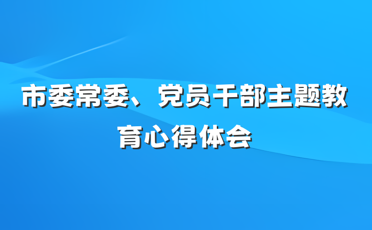 市委常委、党员干部主题教育心得体会