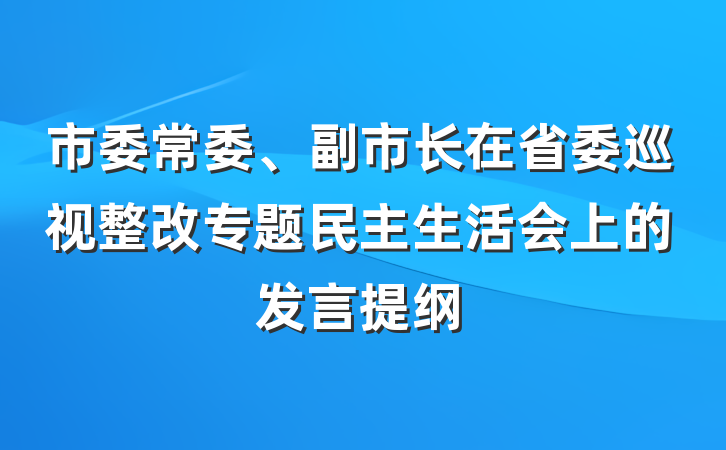 市委常委、副市长在省委巡视整改专题民主生活会上的发言提纲