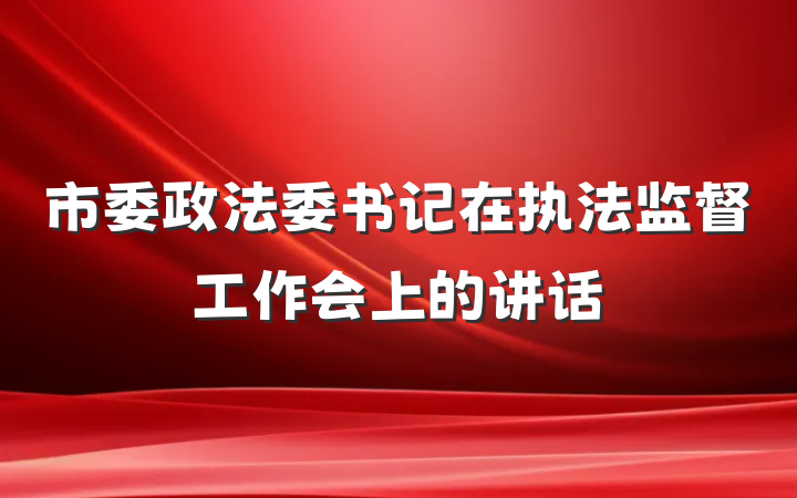 市委政法委书记在执法监督工作会上的讲话