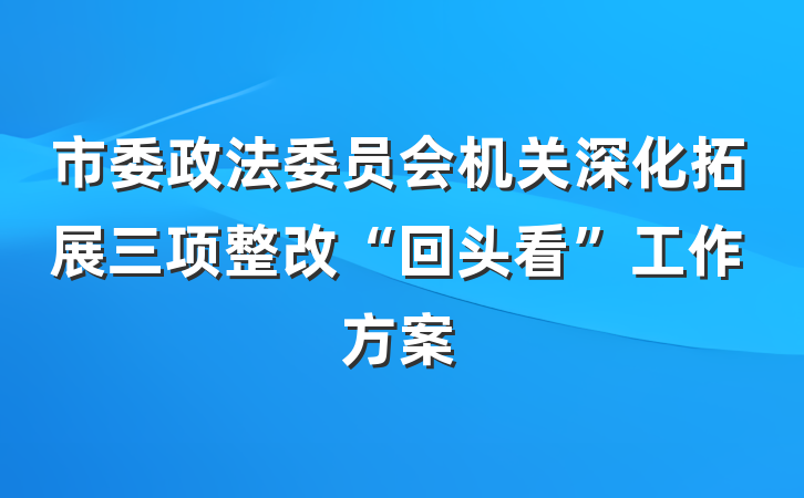 市委政法委员会机关深化拓展三项整改“回头看”工作方案