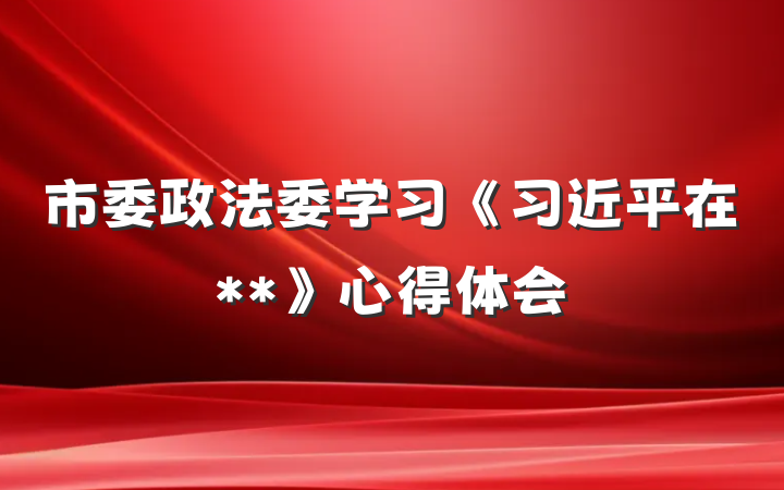 市委政法委学习《习近平在**》心得体会