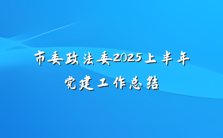 市委政法委2025上半年党建工作总结