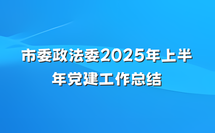 市委政法委2025年上半年党建工作总结