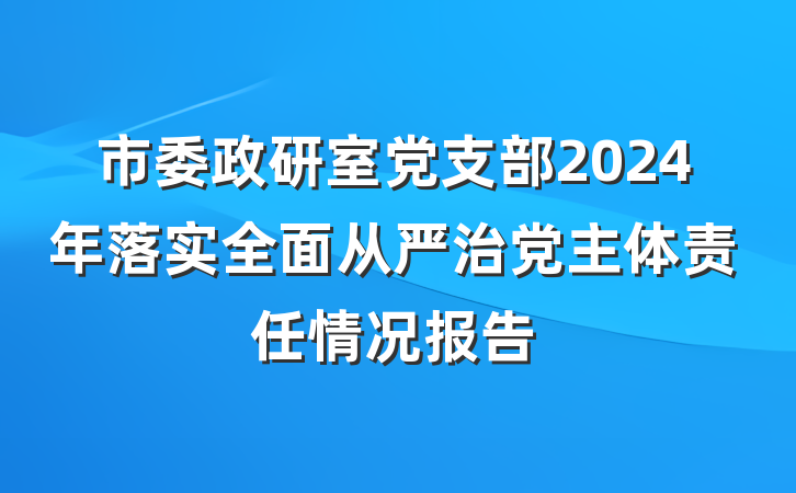 市委政研室党支部2024年落实全面从严治党主体责任情况报告