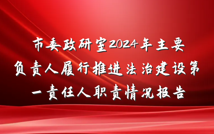 市委政研室2024年主要负责人履行推进法治建设第一责任人职责情况报告