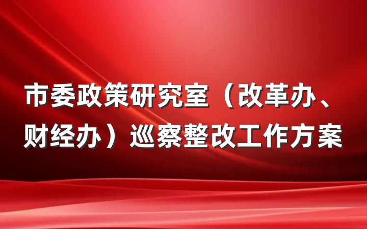 市委政策研究室（改革办、财经办）巡察整改工作方案