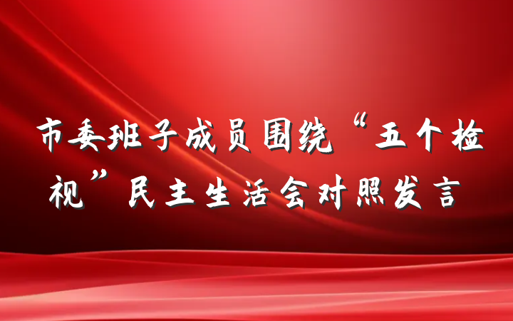 市委班子成员围绕“五个检视”民主生活会对照发言
