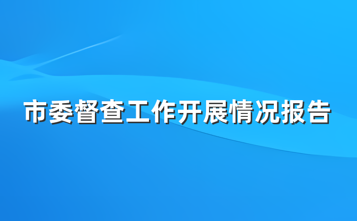 市委督查工作开展情况报告