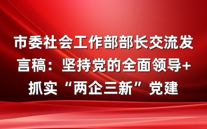 市委社会工作部部长交流发言稿：坚持党的全面领导 抓实“两企三新”党建