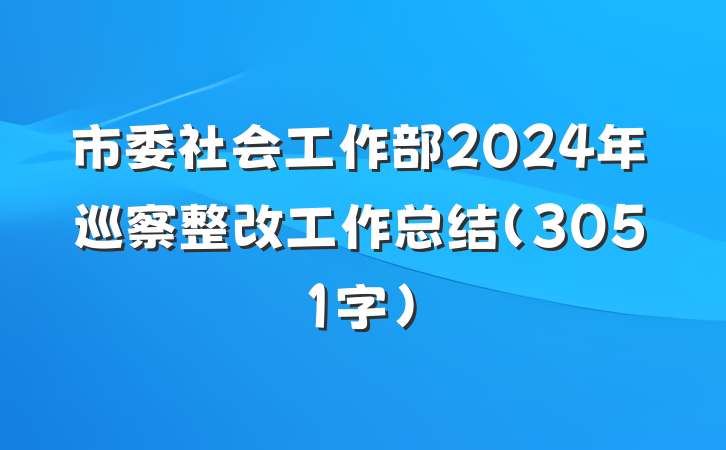 市委社会工作部2024年巡察整改工作总结（3051字）