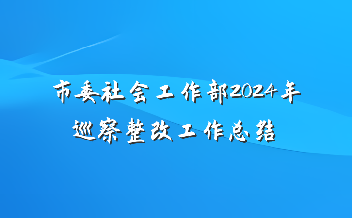 市委社会工作部2024年巡察整改工作总结