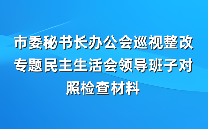 市委秘书长办公会巡视整改专题民主生活会领导班子对照检查材料