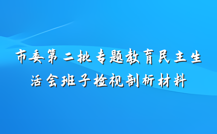 市委第二批专题教育民主生活会班子检视剖析材料