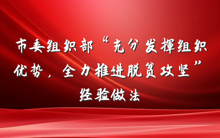 市委组织部“充分发挥组织优势，全力推进脱贫攻坚”经验做法