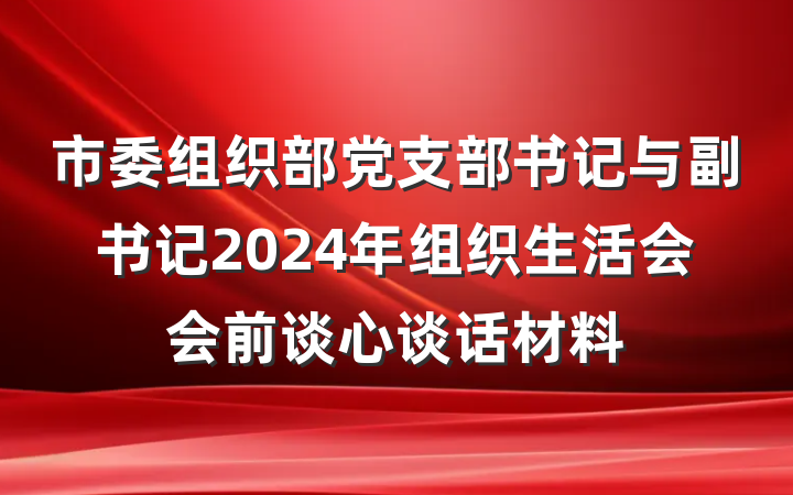 市委组织部党支部书记与副书记2024年组织生活会会前谈心谈话材料