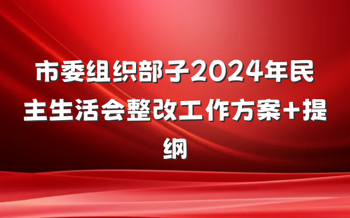 市委组织部子2024年民主生活会整改工作方案 提纲