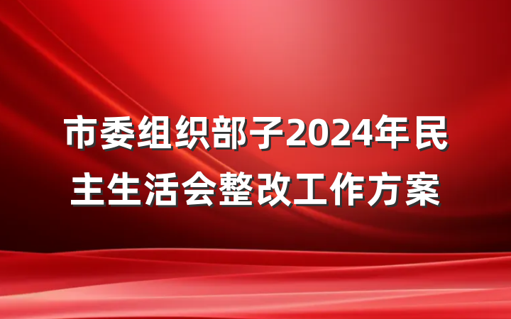 市委组织部子2024年民主生活会整改工作方案