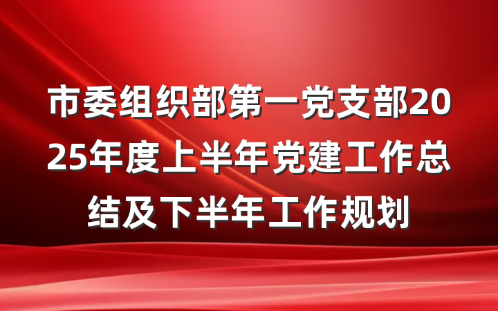 市委组织部第一党支部2025年度上半年党建工作总结及下半年工作规划