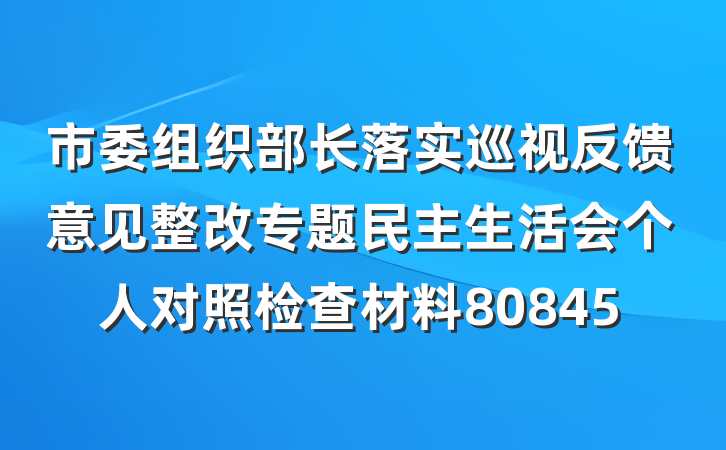 市委组织部长落实巡视反馈意见整改专题民主生活会个人对照检查材料80845