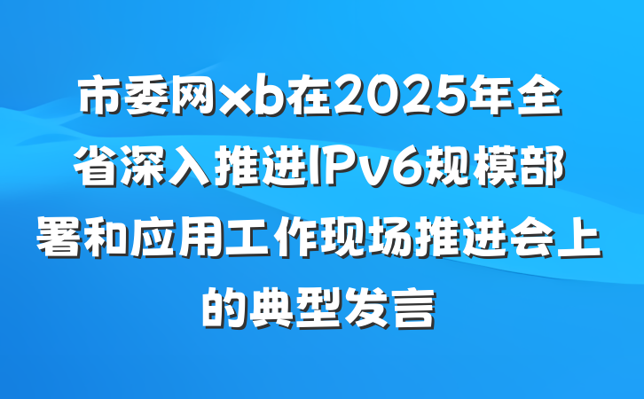 市委网xb在2025年全省深入推进IPv6规模部署和应用工作现场推进会上的典型发言