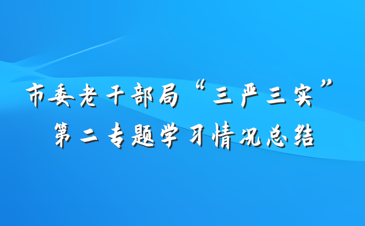市委老干部局“三严三实”第二专题学习情况总结