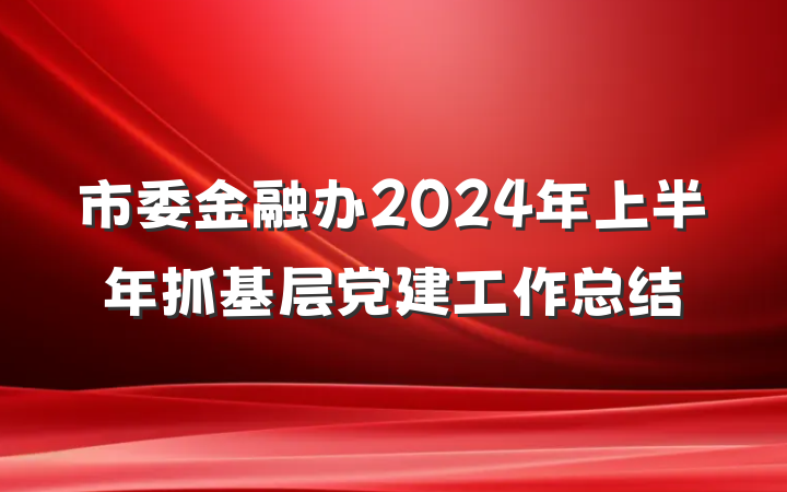 市委金融办2024年上半年抓基层党建工作总结