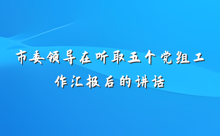 市委领导在听取五个党组工作汇报后的讲话