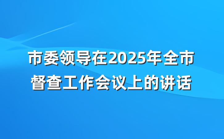 市委领导在2025年全市督查工作会议上的讲话