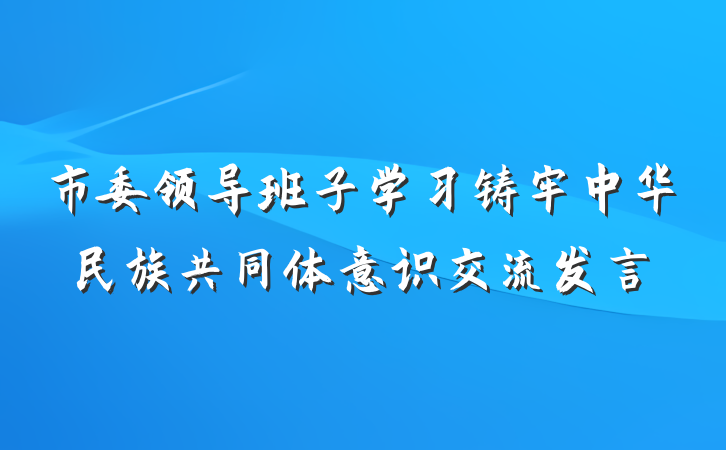 市委领导班子学习铸牢中华民族共同体意识交流发言