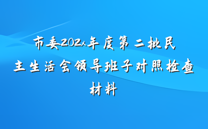 市委202x年度第二批民主生活会领导班子对照检查材料