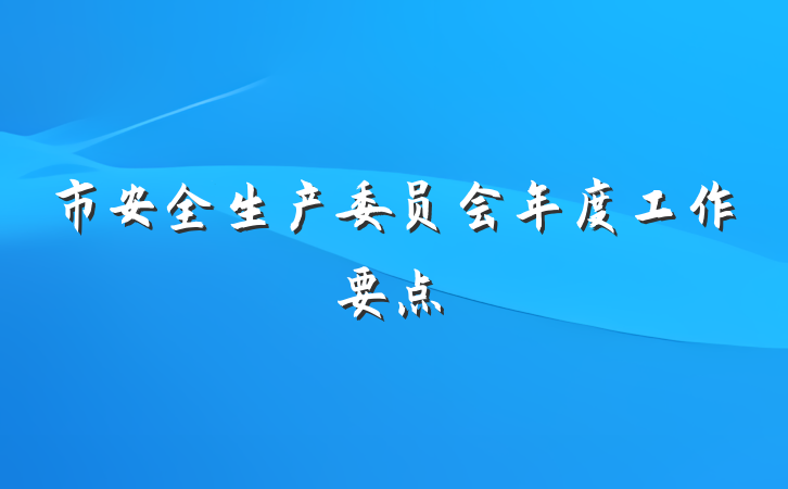 市安全生产委员会年度工作要点