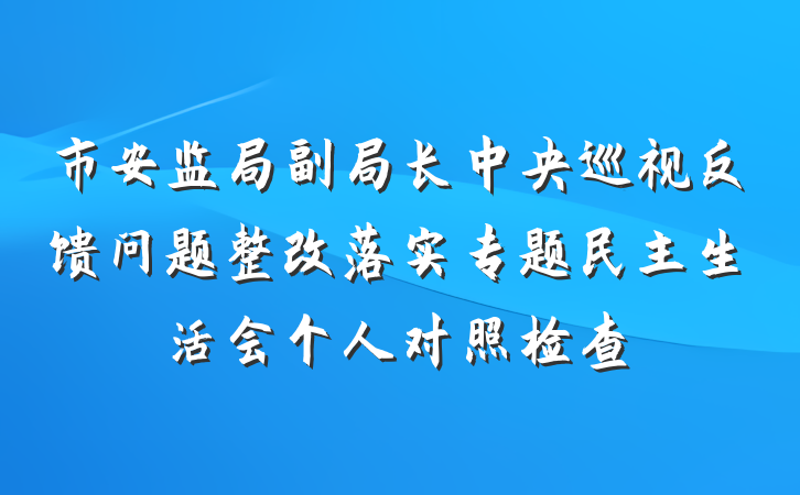市安监局副局长中央巡视反馈问题整改落实专题民主生活会个人对照检查
