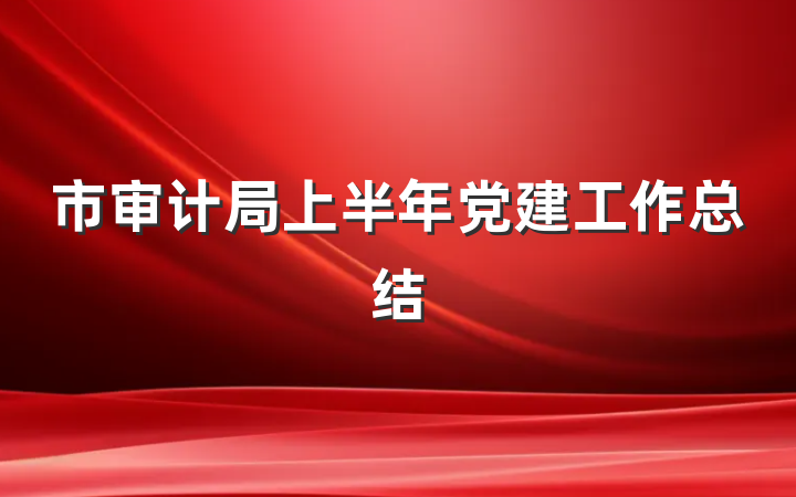 市审计局上半年党建工作总结
