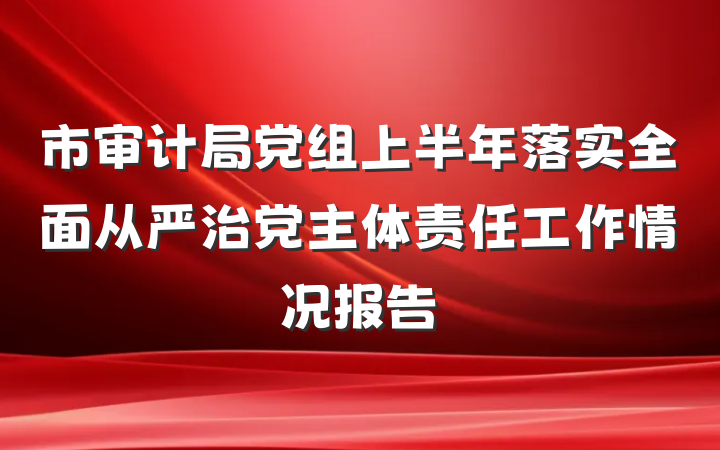 市审计局党组上半年落实全面从严治党主体责任工作情况报告