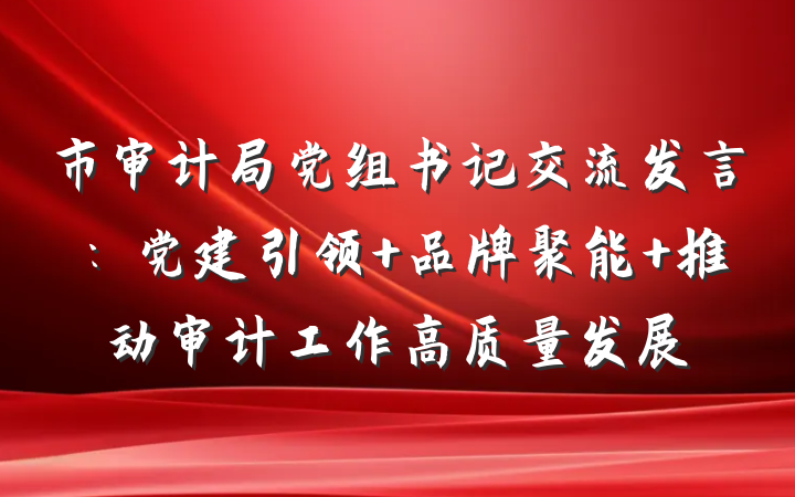 市审计局党组书记交流发言：党建引领 品牌聚能 推动审计工作高质量发展