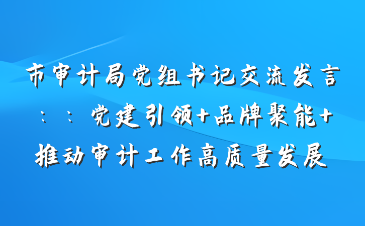 市审计局党组书记交流发言：：党建引领 品牌聚能 推动审计工作高质量发展