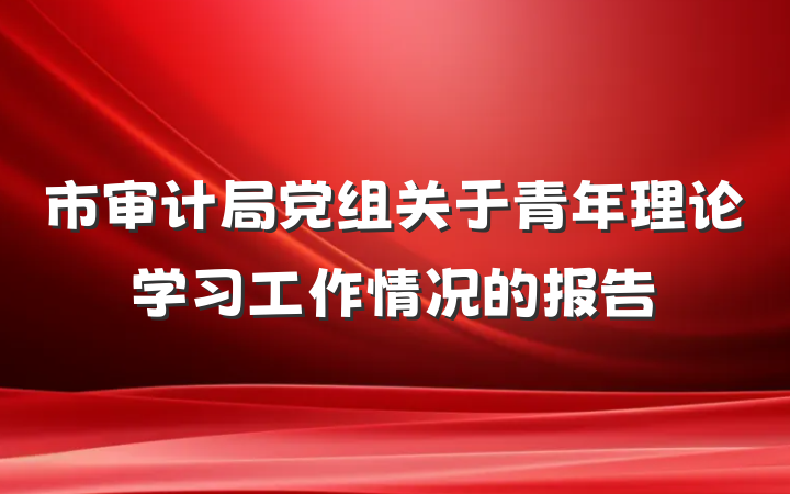 市审计局党组关于青年理论学习工作情况的报告