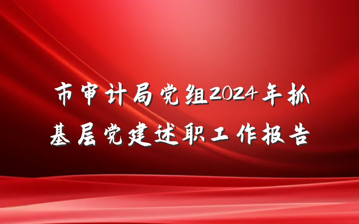 市审计局党组2024年抓基层党建述职工作报告