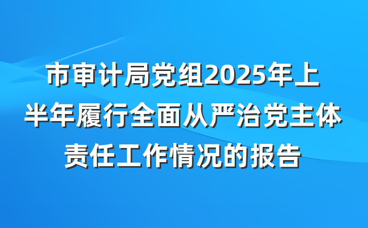市审计局党组2025年上半年履行全面从严治党主体责任工作情况的报告