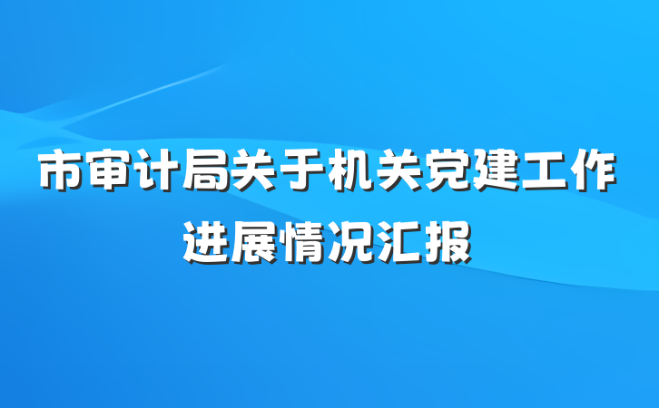 市审计局关于机关党建工作进展情况汇报
