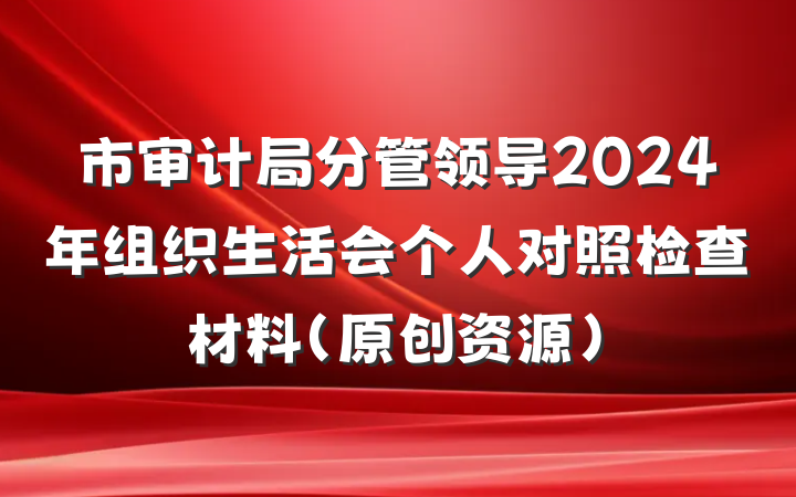 市审计局分管领导2024年组织生活会个人对照检查材料（原创资源）