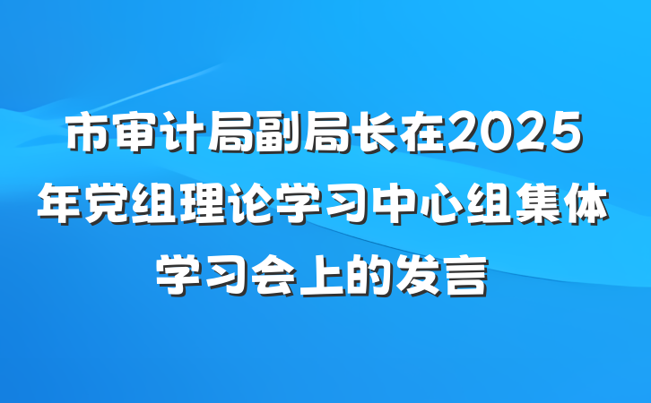 市审计局副局长在2025年党组理论学习中心组集体学习会上的发言