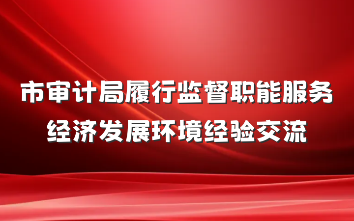 市审计局履行监督职能服务经济发展环境经验交流